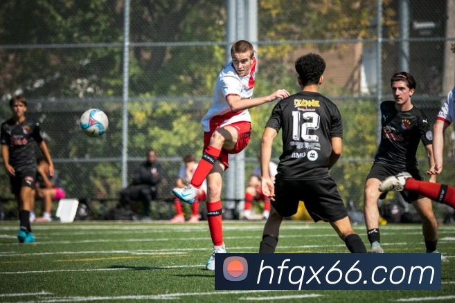 米兰体育官网登录入口平台生态图